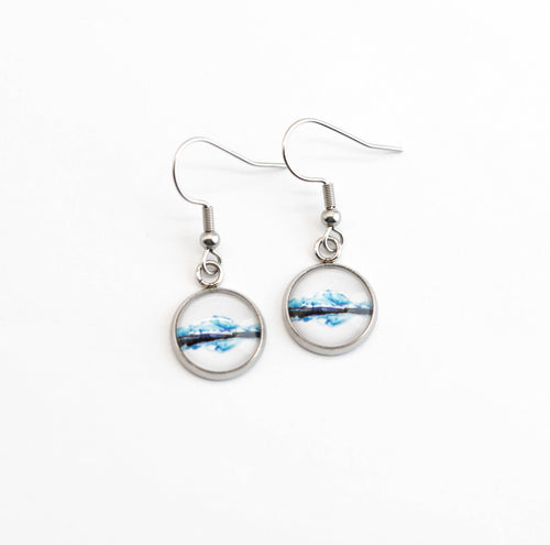 Stainless Steel and Glass Earrings Small Denali