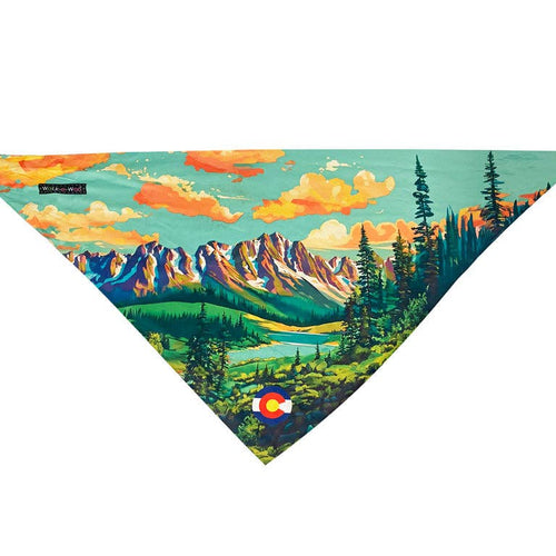 Sport Bandana