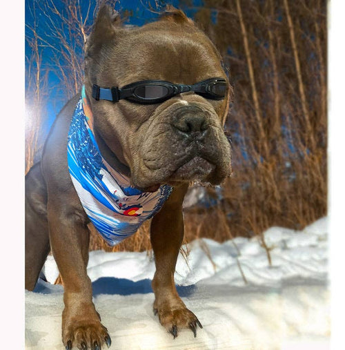 Sport Bandana