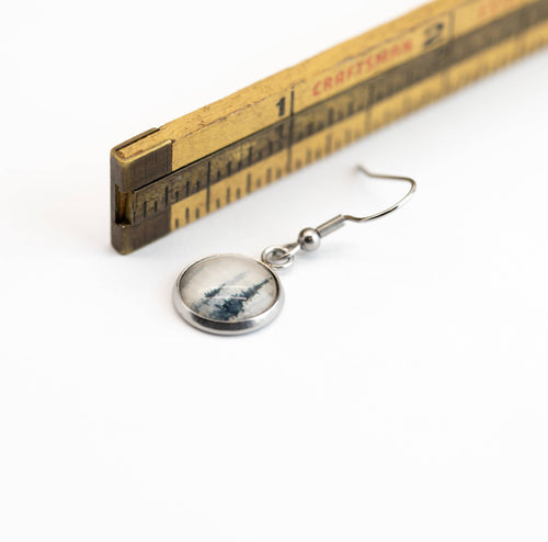 Stainless Steel and Glass Earrings