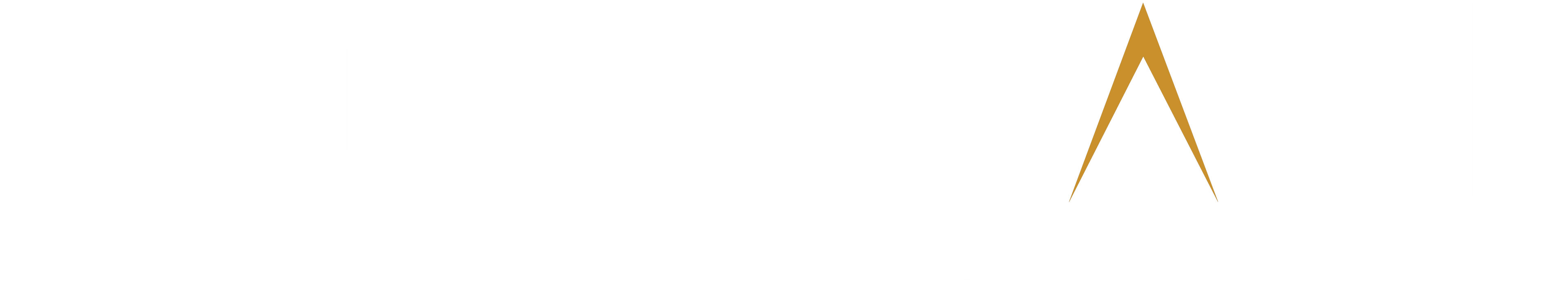 Mountain and Company