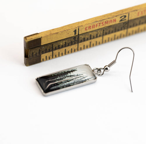 Stainless Steel and Glass Earrings