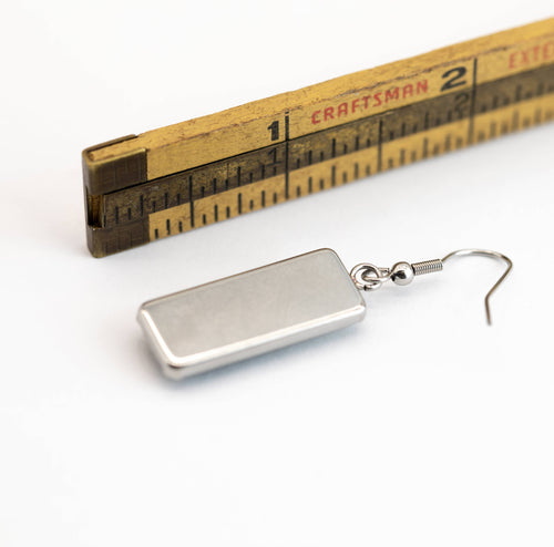 Stainless Steel and Glass Earrings