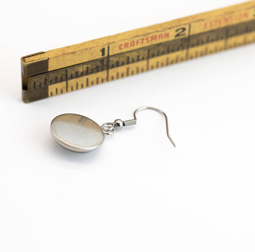 Stainless Steel and Glass Earrings