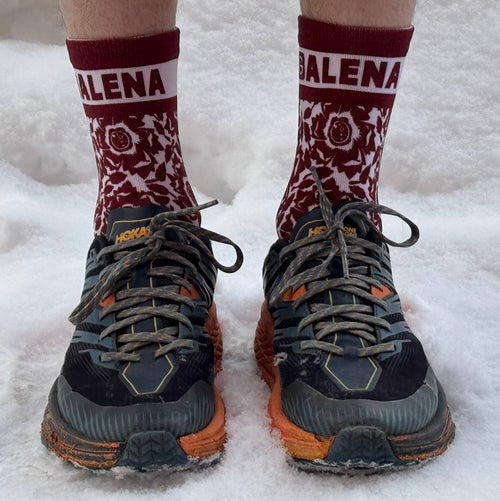 Galena Endurance Socks
