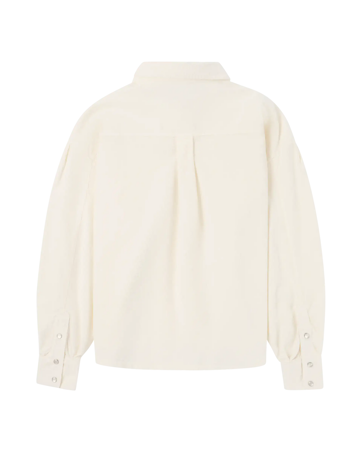 Amundsen Wild Velvet Shirt - Women's