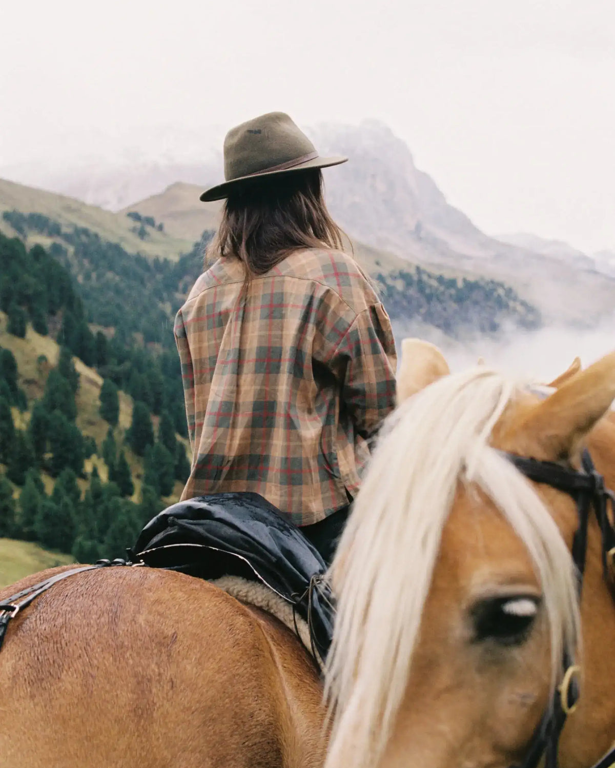 Amundsen Wild Country Shirt - Women's