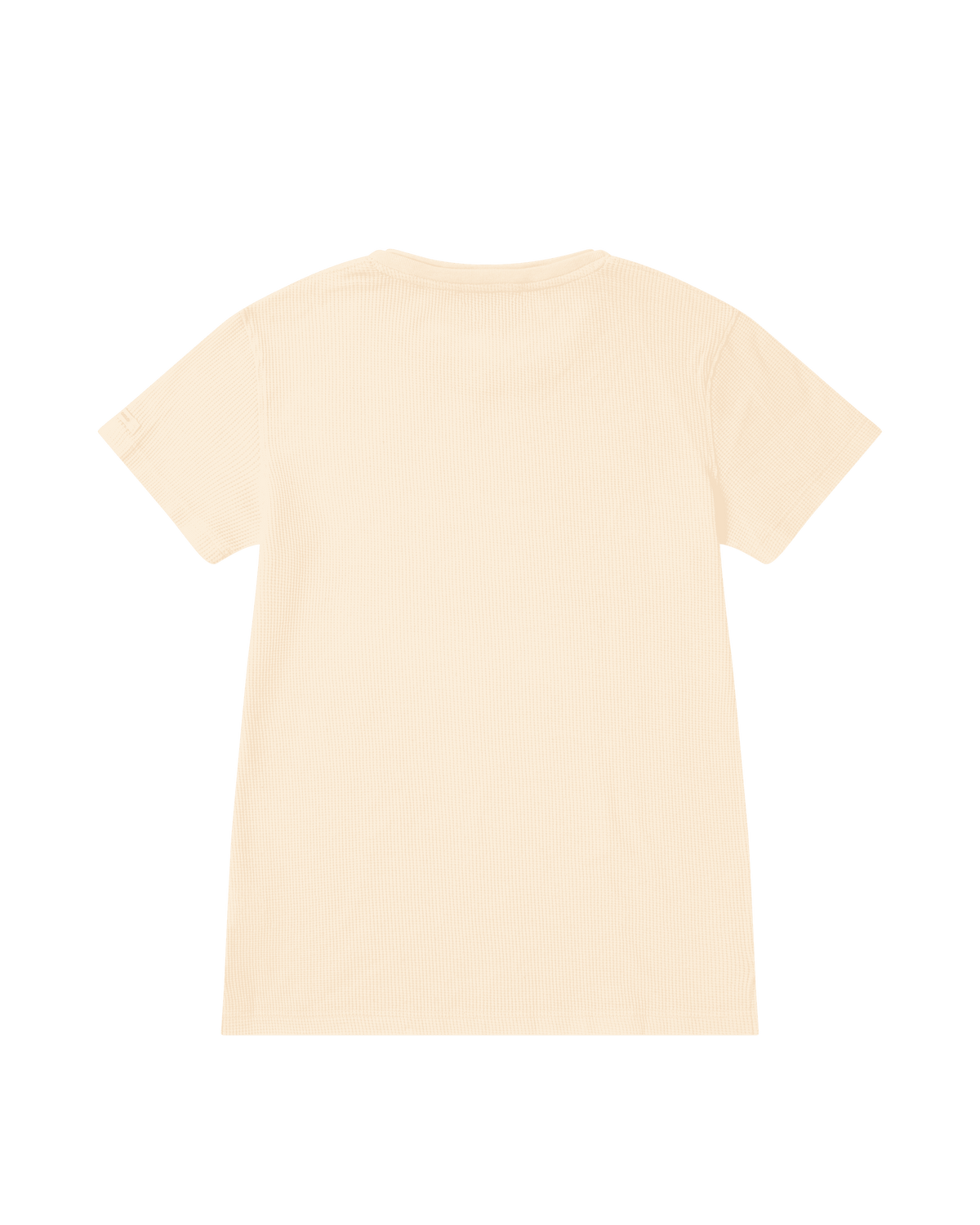 Amundsen Formula Tee Women's