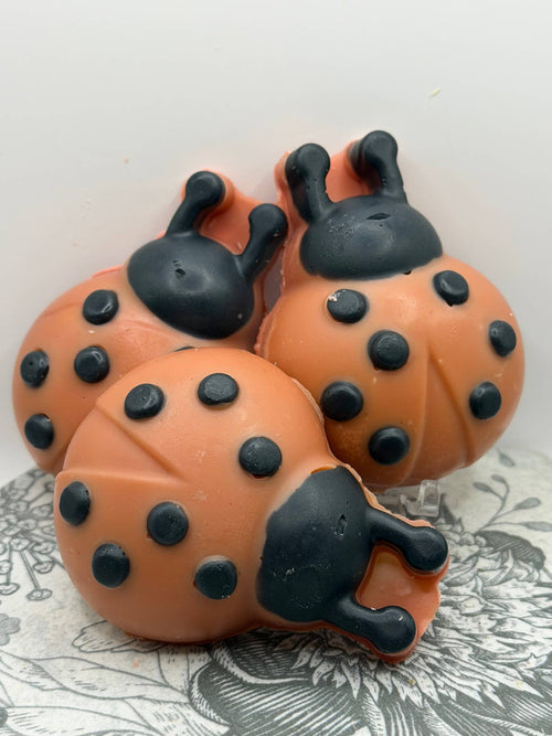 Colorado Natural Soap Ladybug