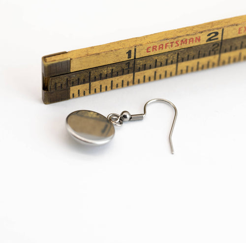 Stainless Steel and Glass Earrings