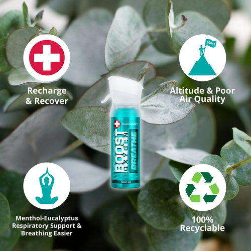 Boost Oxygen Supplemental Oxygen