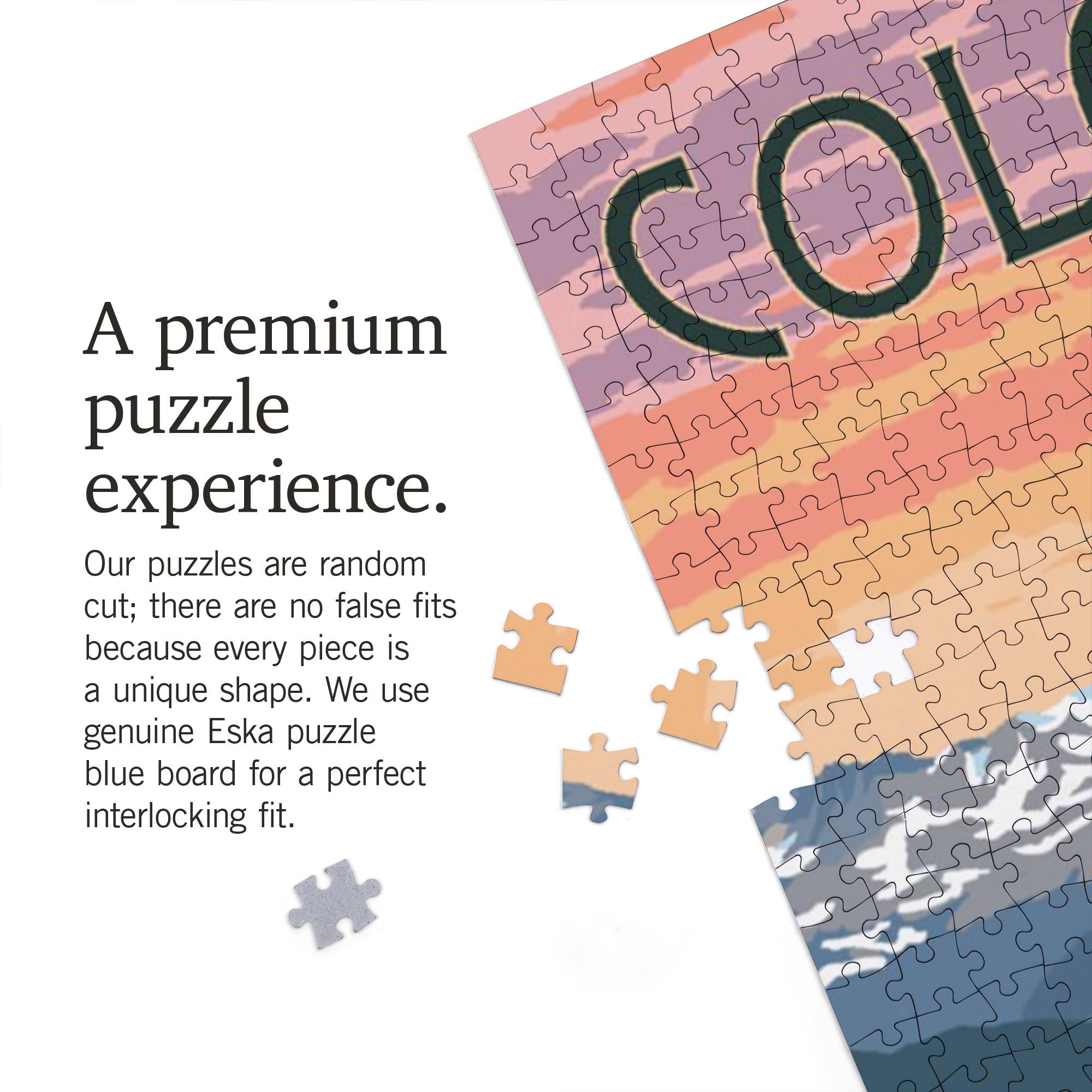 1000 PIECE PUZZLE Colorado Bear and Spring Flowers