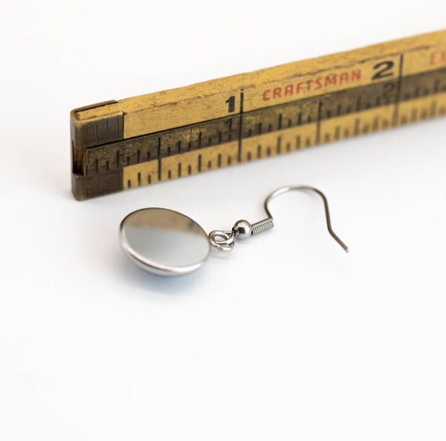 Stainless Steel and Glass Earrings