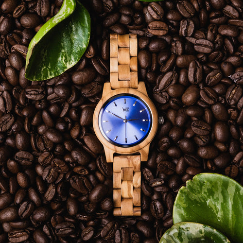 Oasis Watch