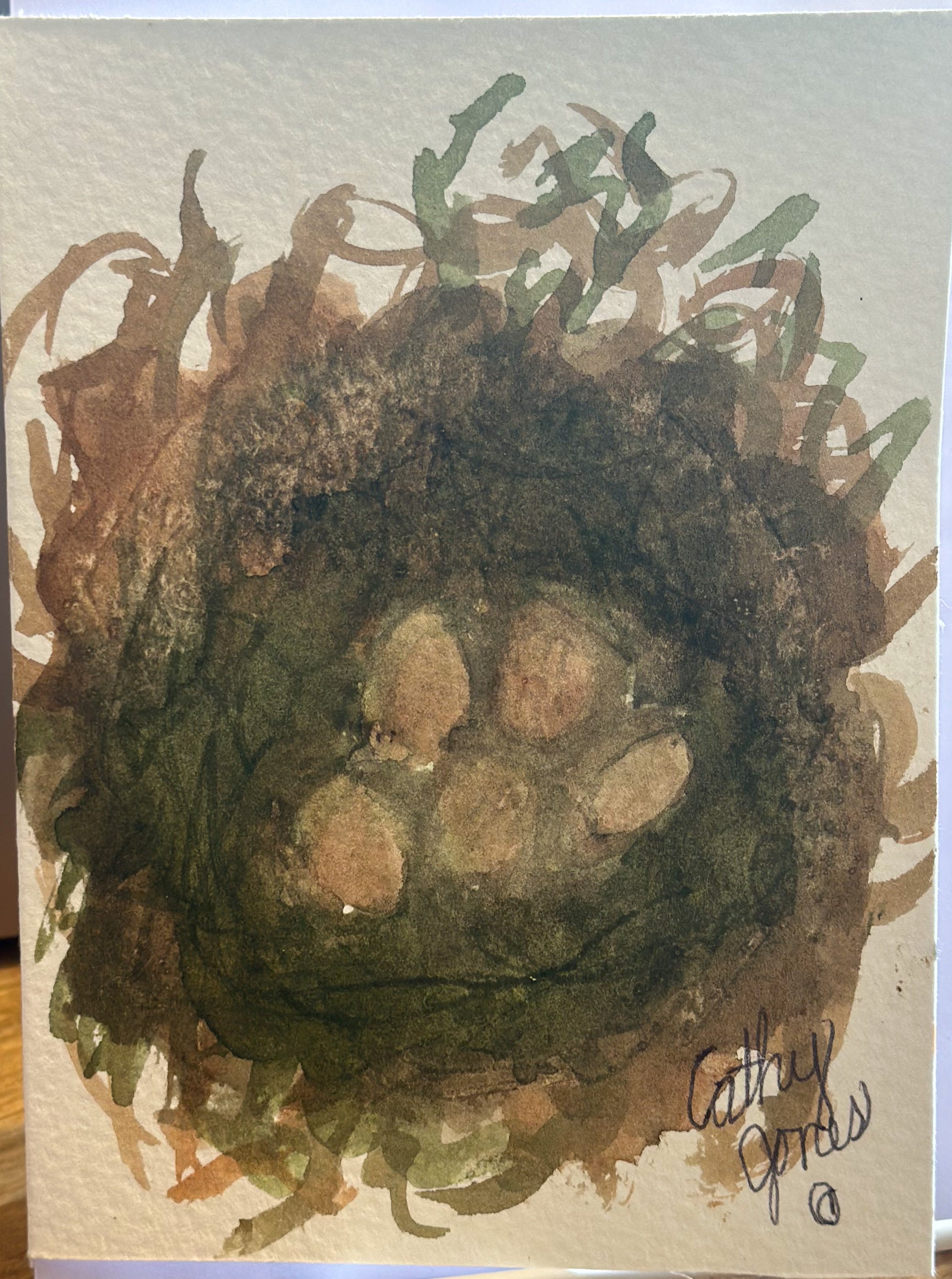 Hand-Painted Watercolor Notecards Bird Nest