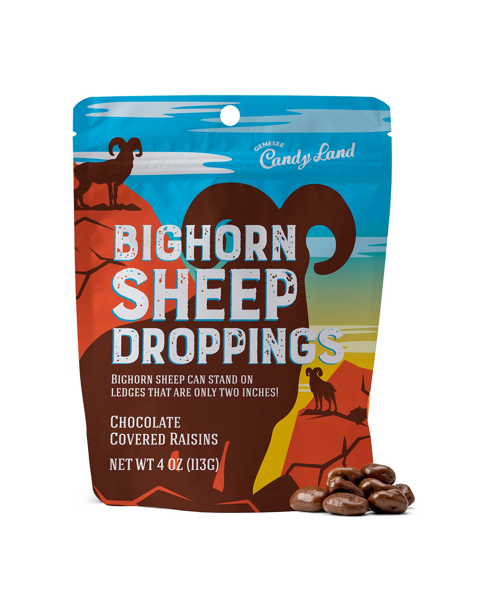 Bighorn Sheep Droppings (chocolate covered raisins)