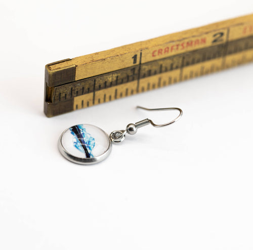 Stainless Steel and Glass Earrings