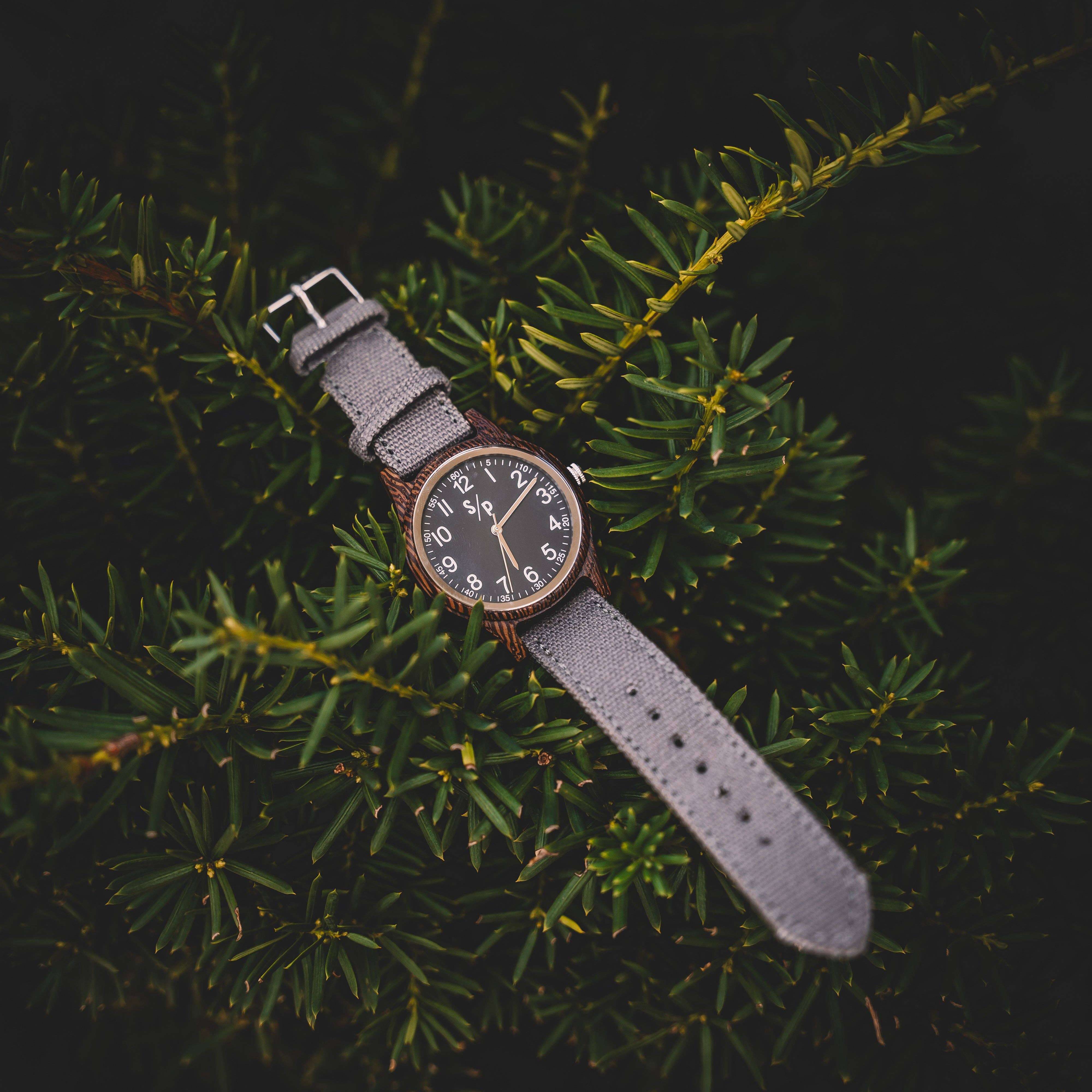 Sand and Peak Cypress Watch