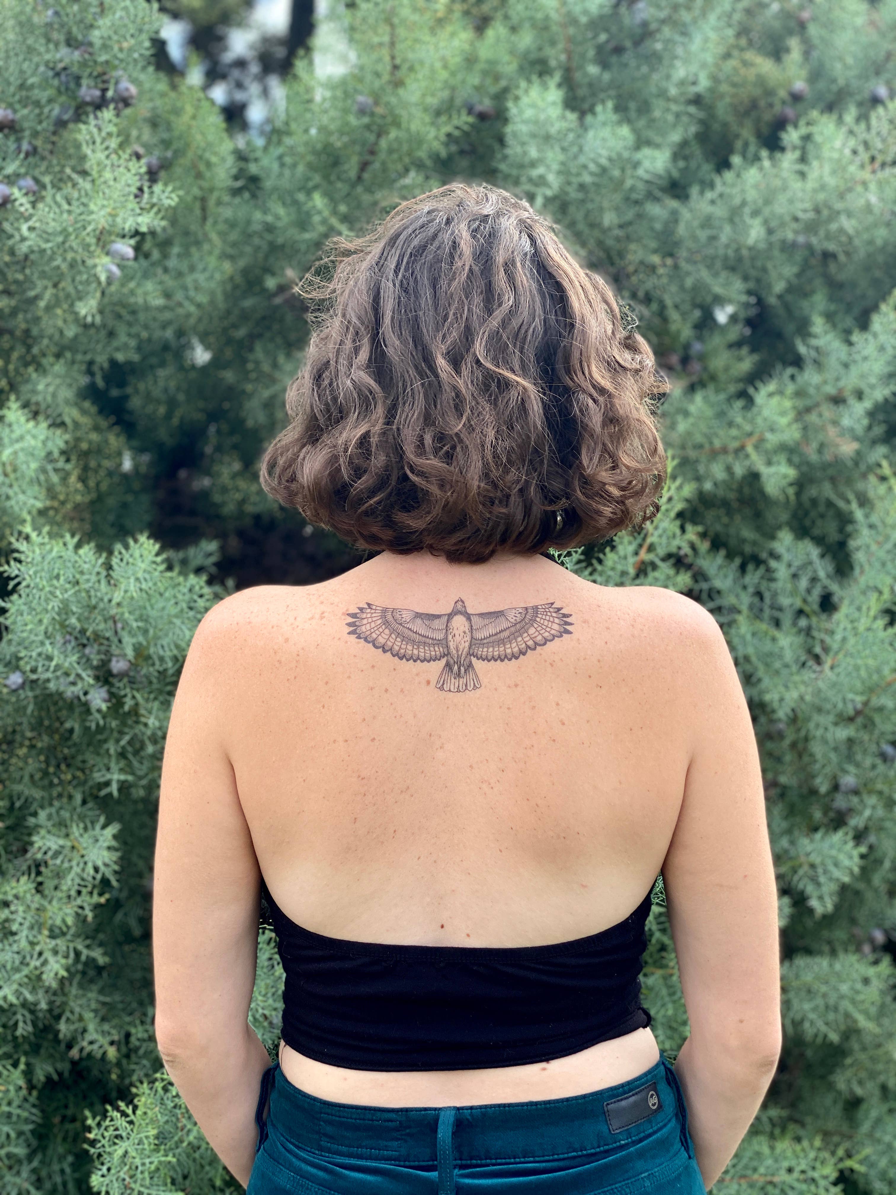Hawk Temporary Tattoo