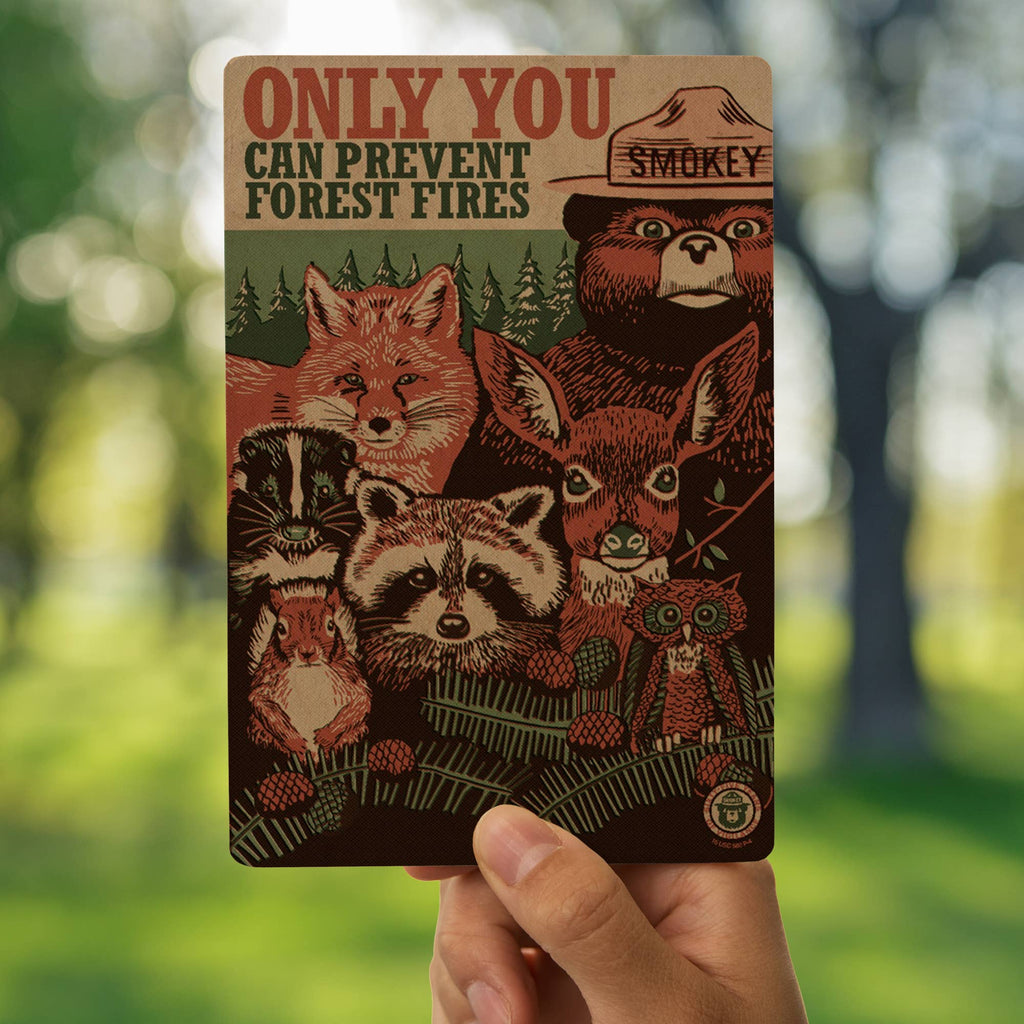 Colorado Postcards