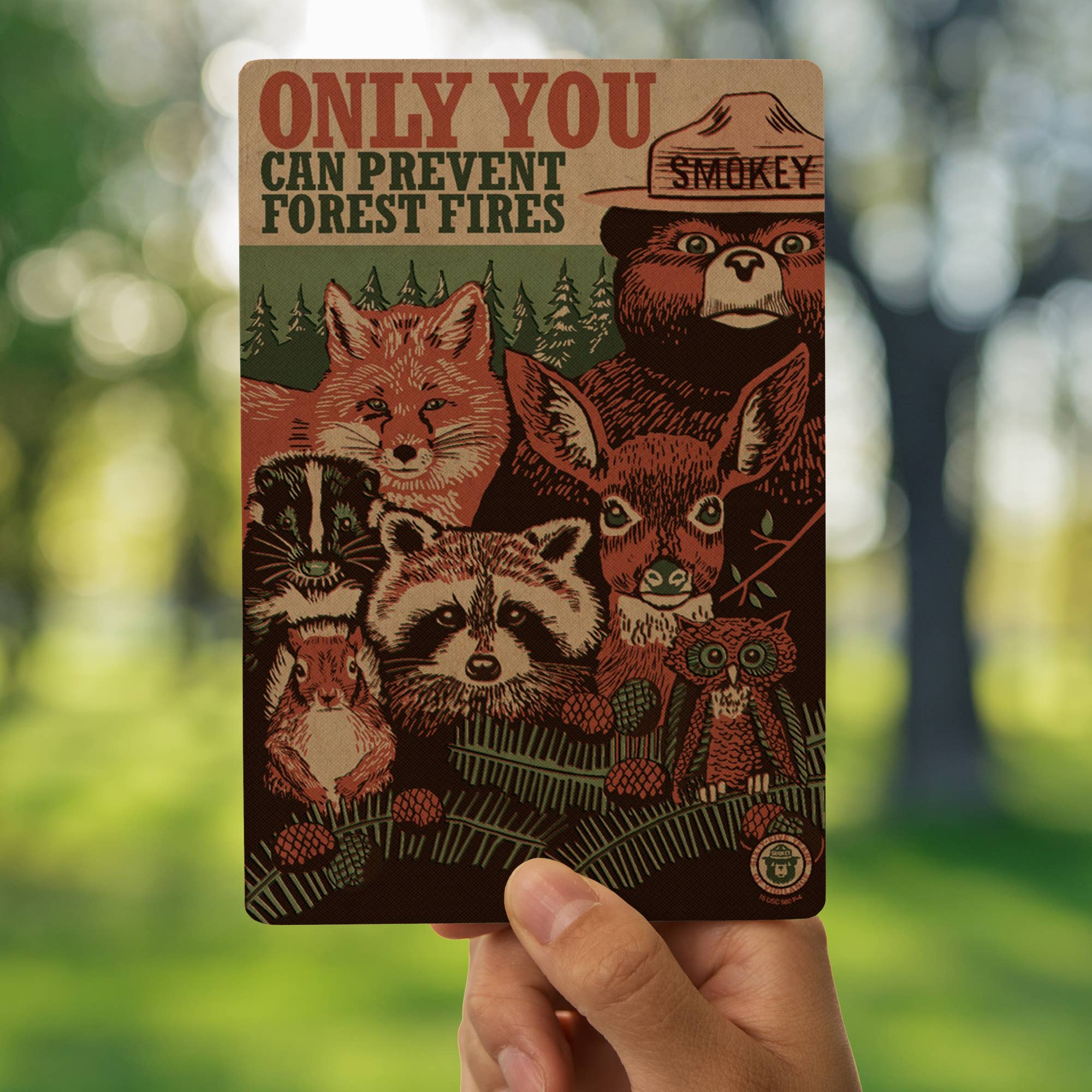 Colorado Postcards