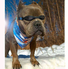 Walk-e-Woo Sport Bandana