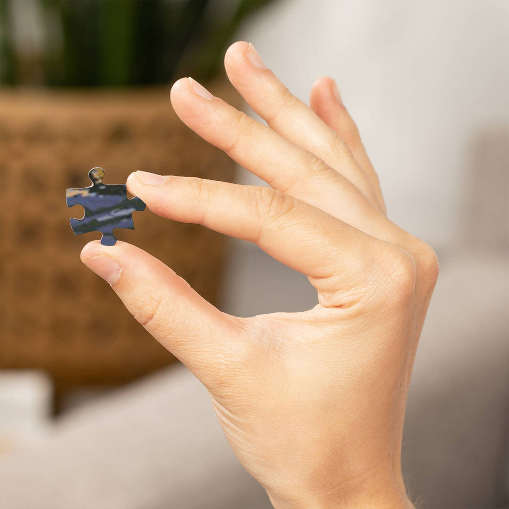 1000 PIECE PUZZLE Colorado, Get Out and Hike