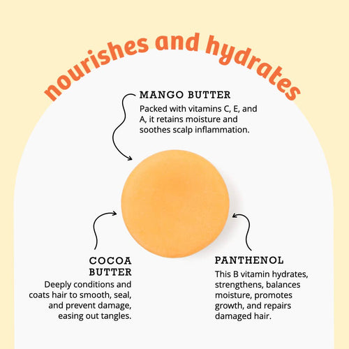 All Natural Conditioner Bar