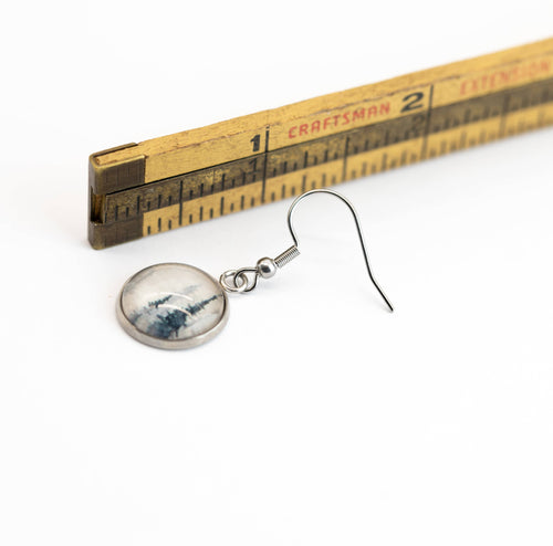 Stainless Steel and Glass Earrings
