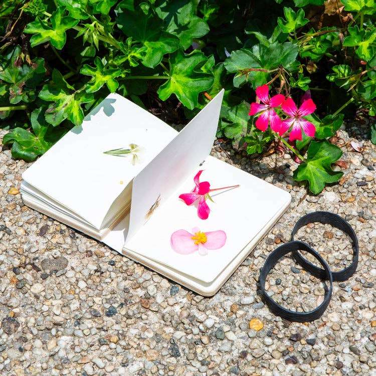 Kikkerland Design Inc Field Flower Press