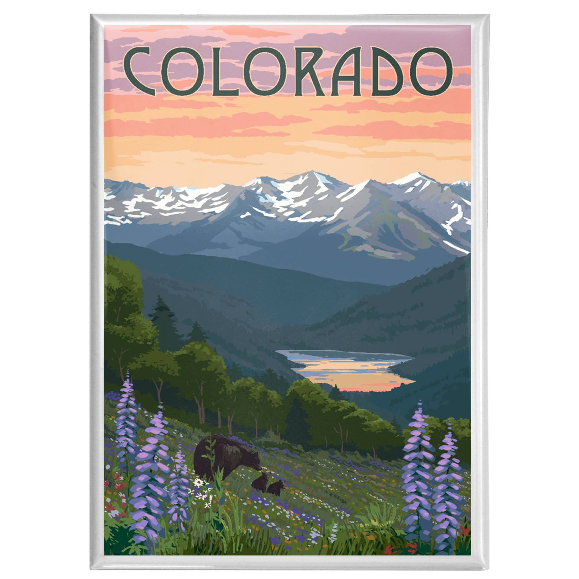 MAGNET Colorado Bear and Spring Flowers Magnet