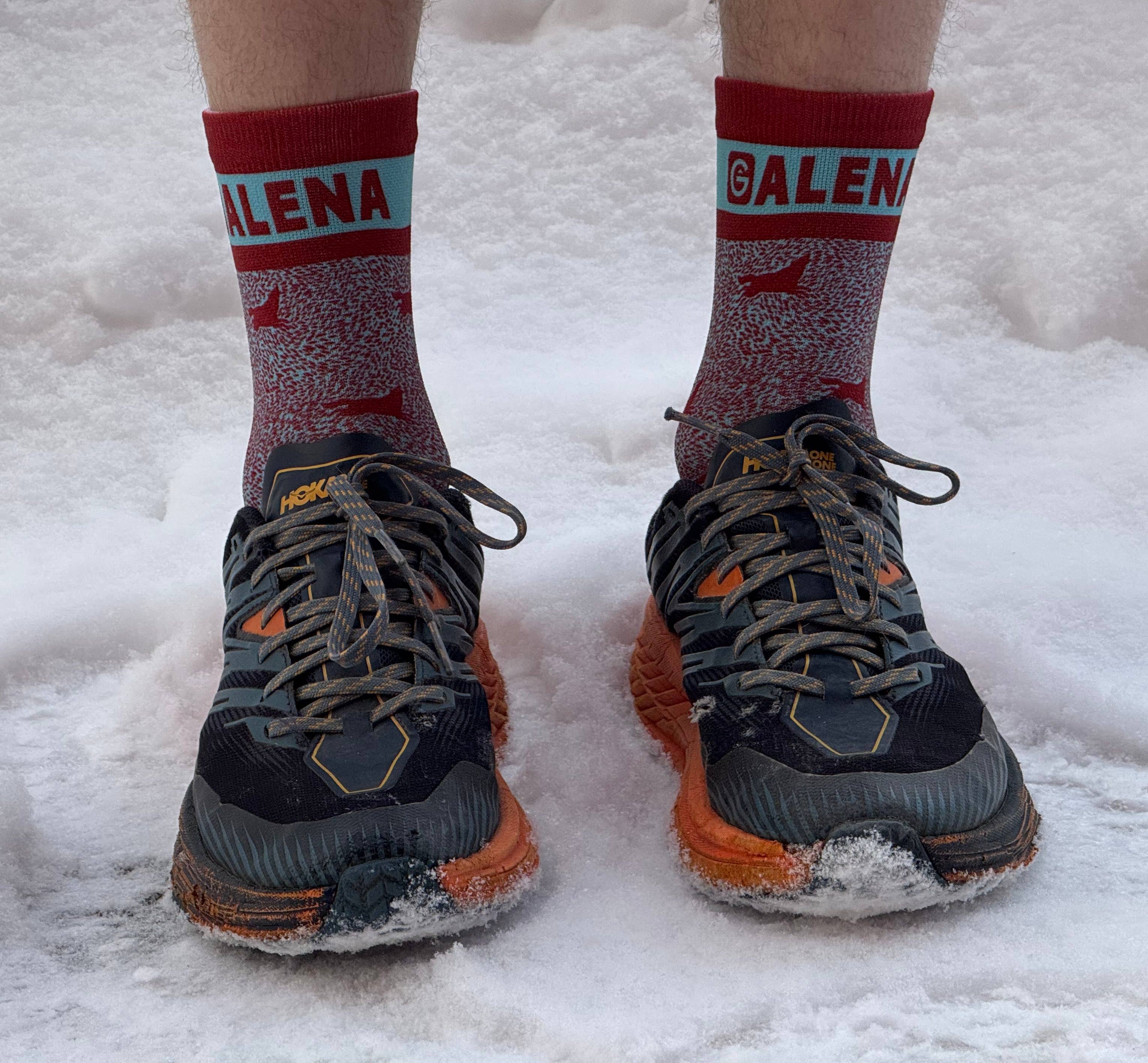Galena Endurance Socks