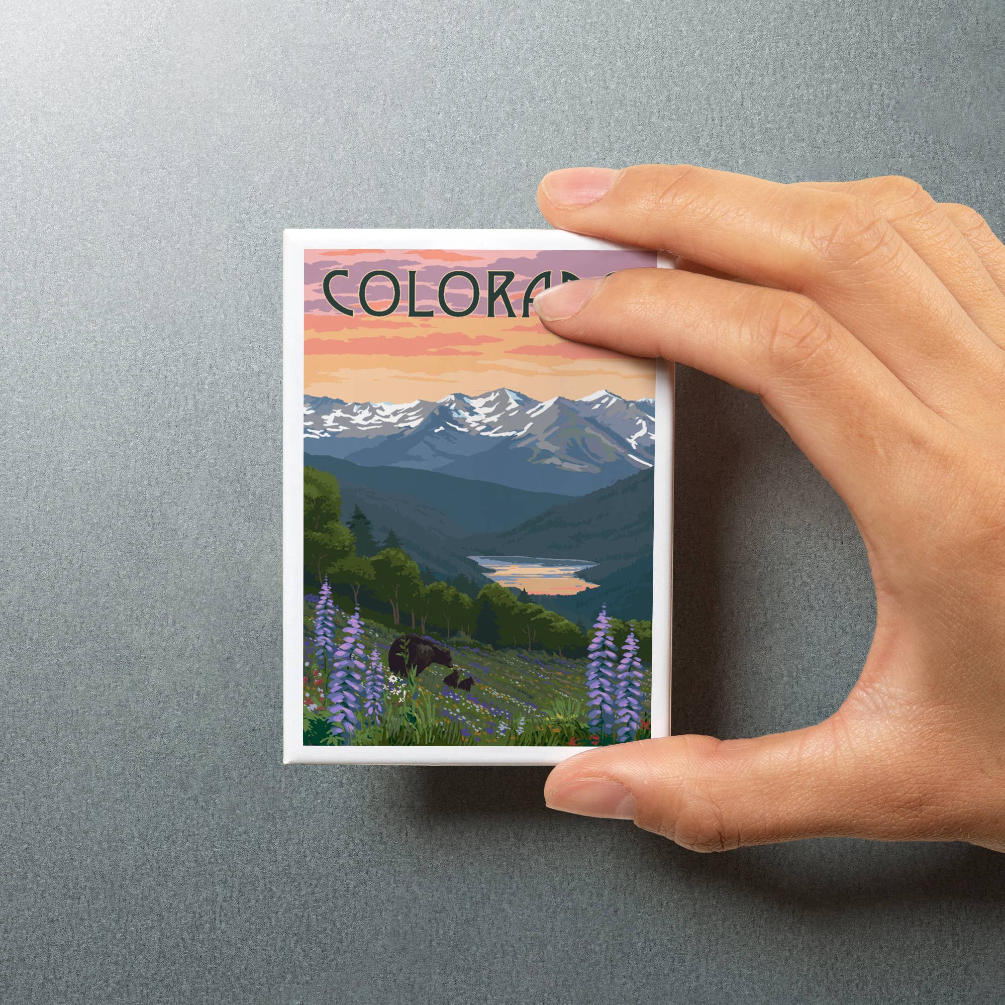 MAGNET Colorado Bear and Spring Flowers