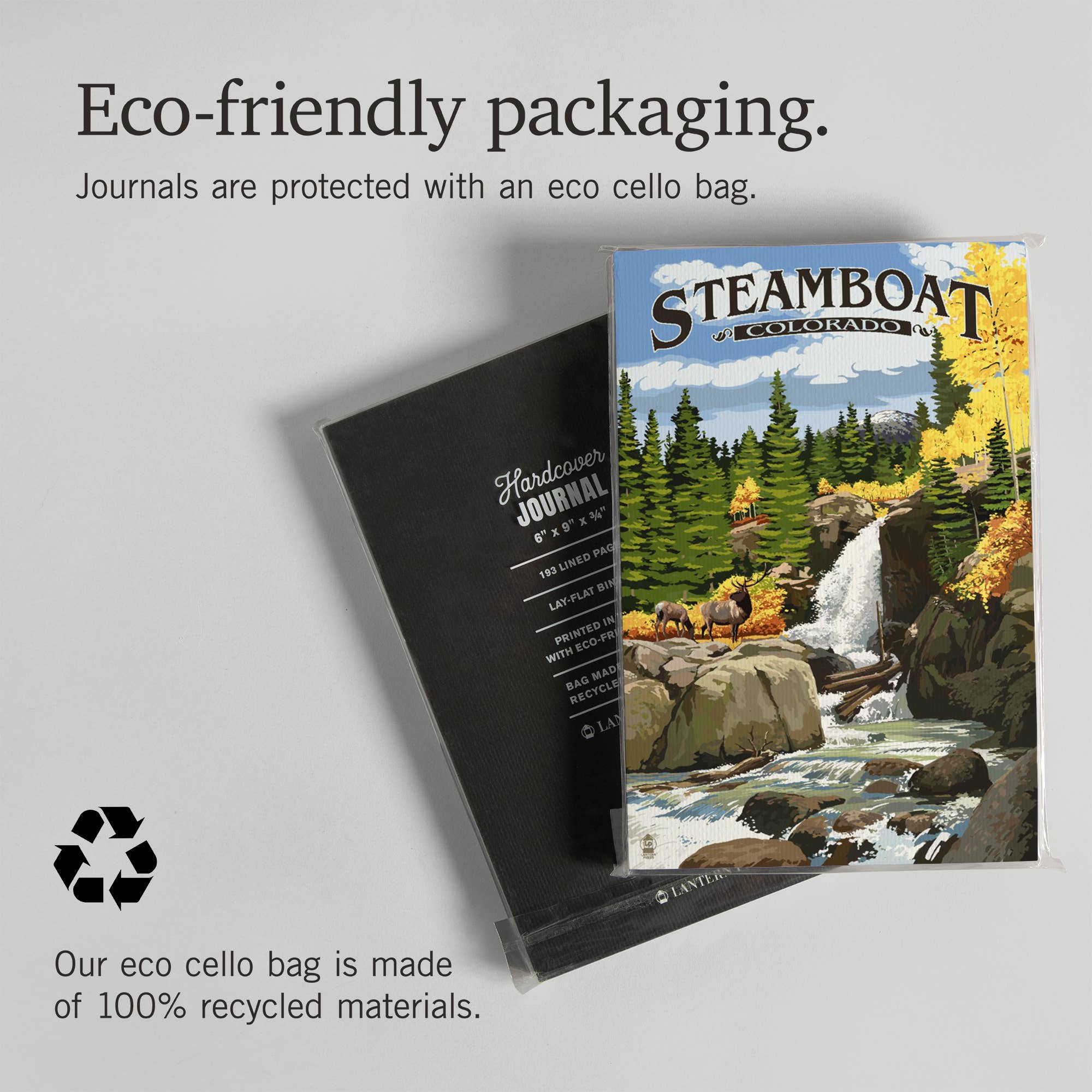 Steamboat Fish Creek Falls Journal
