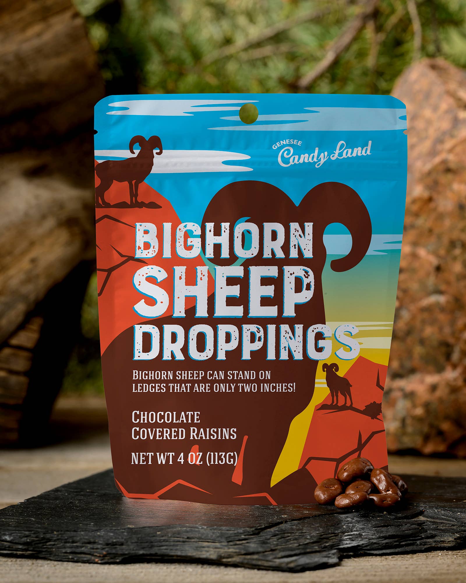 Bighorn Sheep Droppings (chocolate covered raisins)