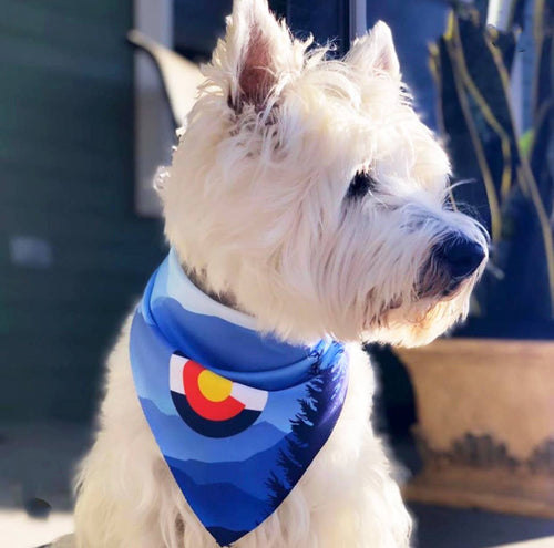 Sport Bandana
