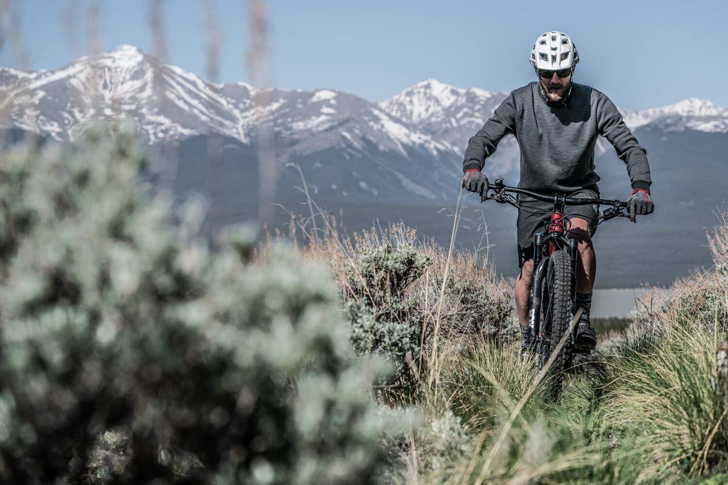 Galena Mountain Merino