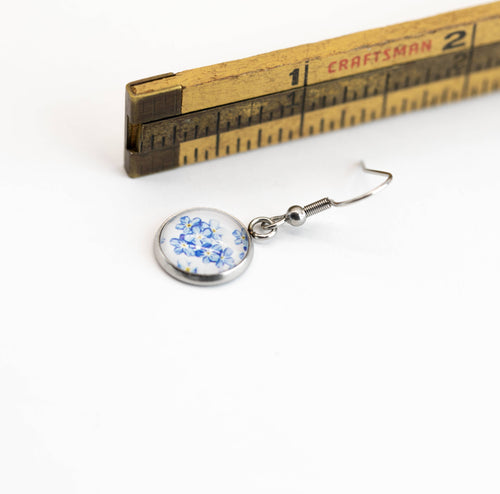 Stainless Steel and Glass Earrings