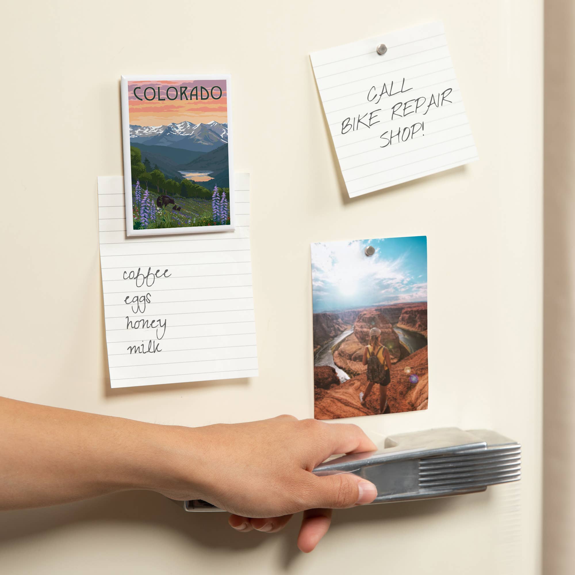 MAGNET Colorado Bear and Spring Flowers