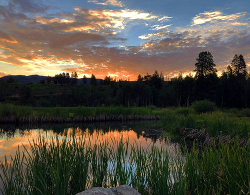 John Sladek Photograpy