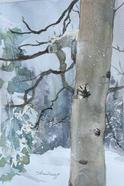 Sally Rawlings Watercolor Notecards Aspen Trunk