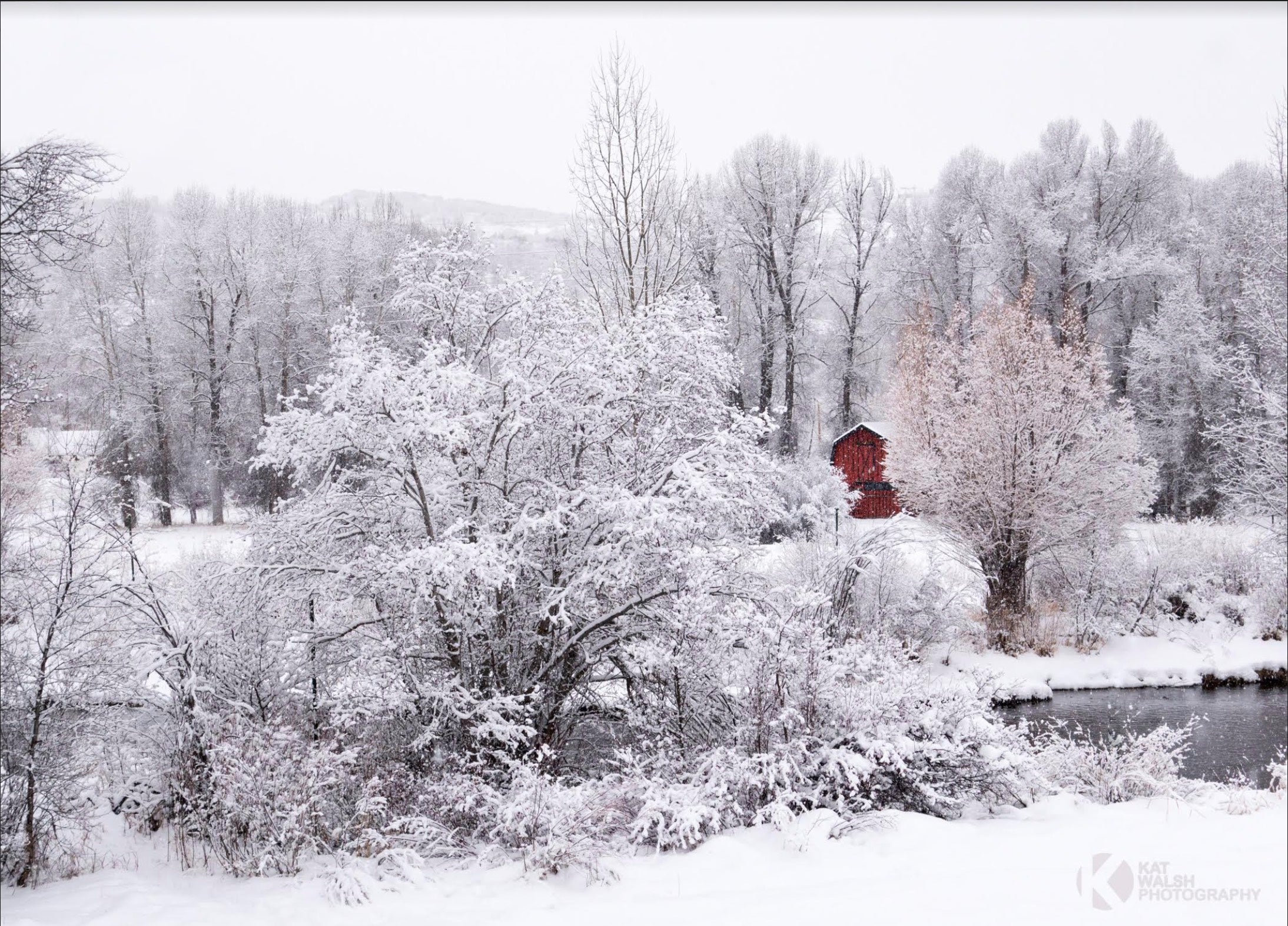 Kathleen Walsh Photography Steamboat in Winter