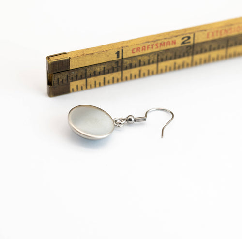 Stainless Steel and Glass Earrings