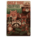 Colorado Postcards Smokey Bear & Woodland Creatures Only You Wood