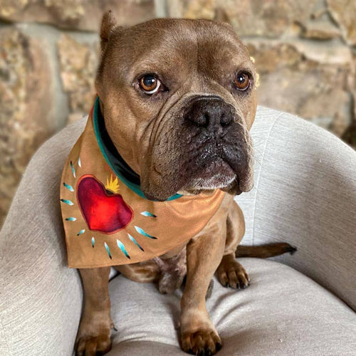 Sport Bandana
