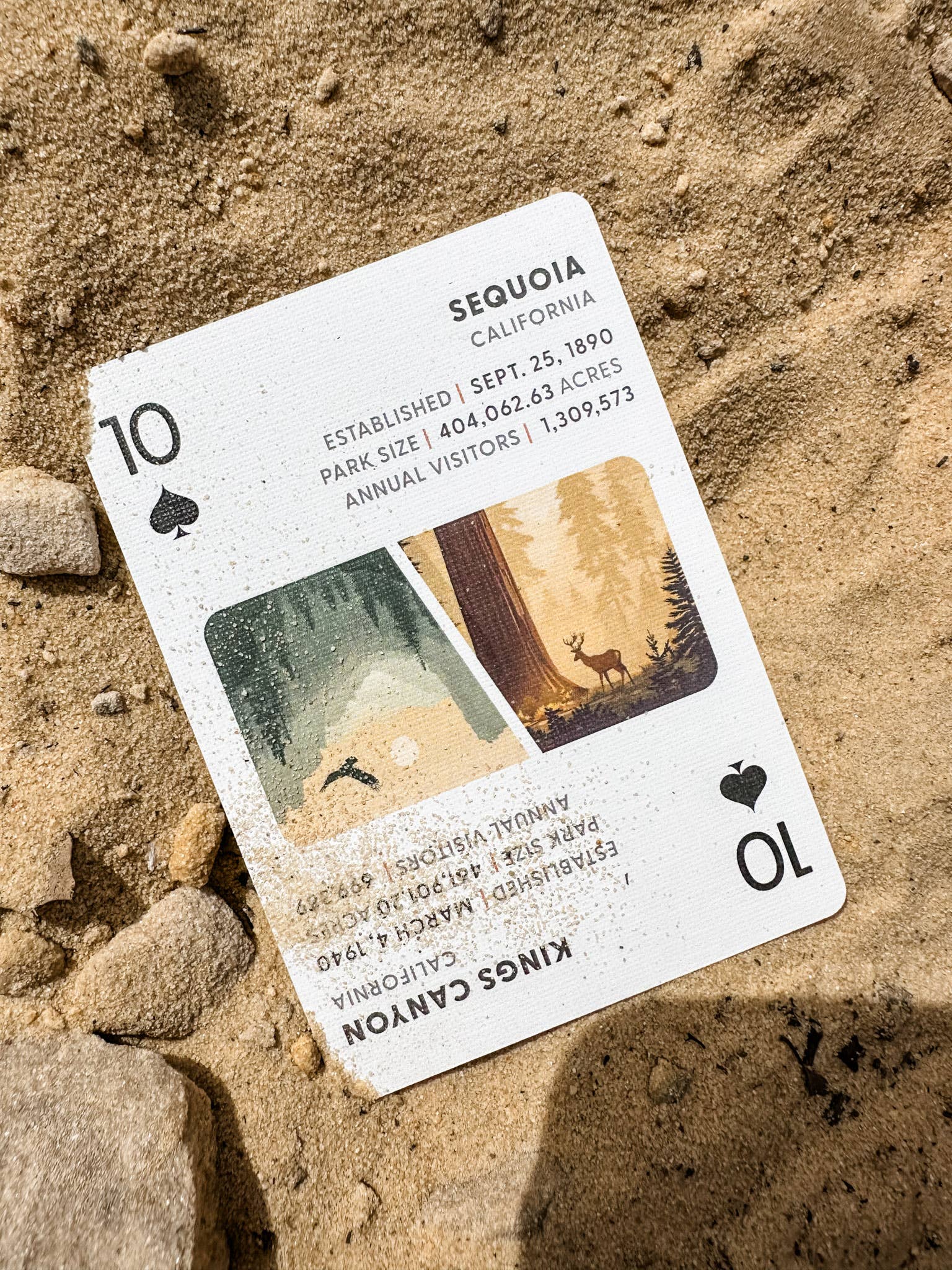 Pine + Ember The World's Best National Parks Playing Cards