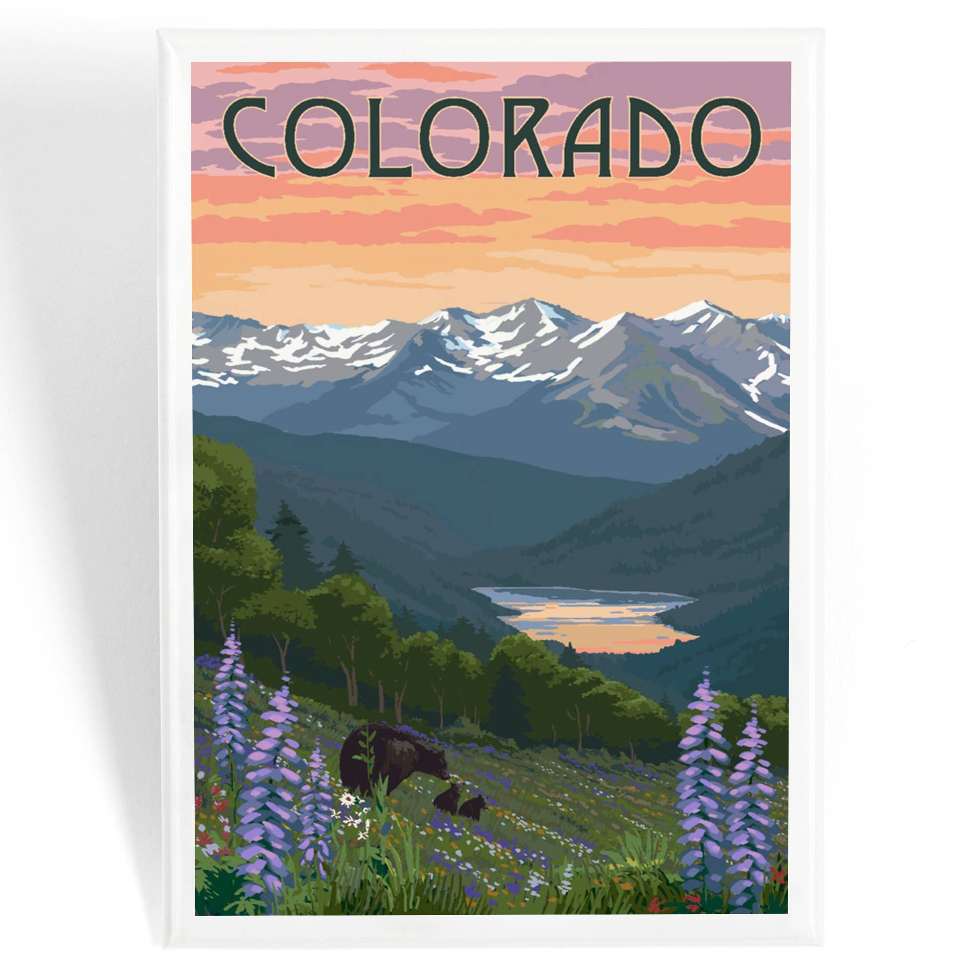 MAGNET Colorado Bear and Spring Flowers