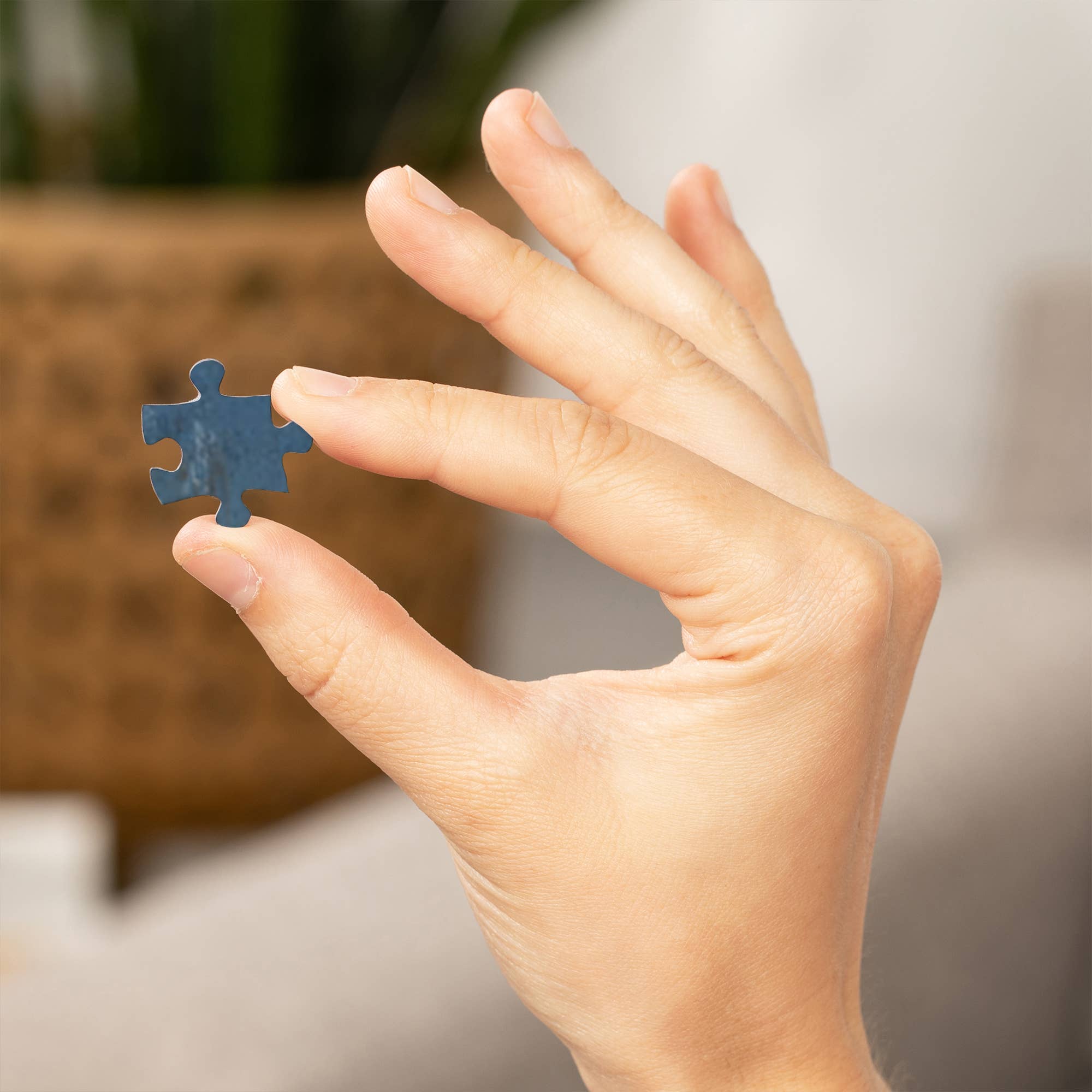 Steamboat Jigsaw Puzzles