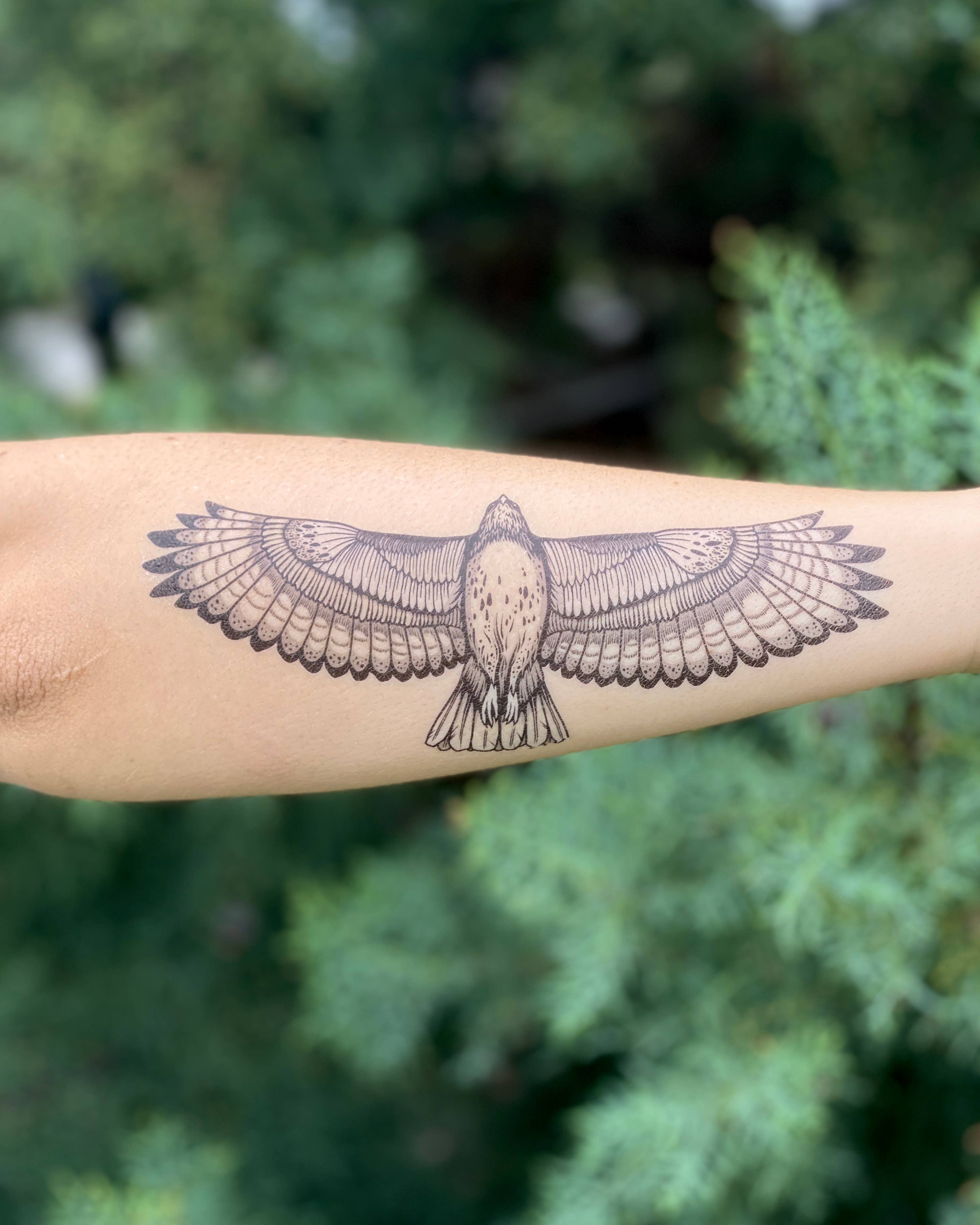 Hawk Temporary Tattoo