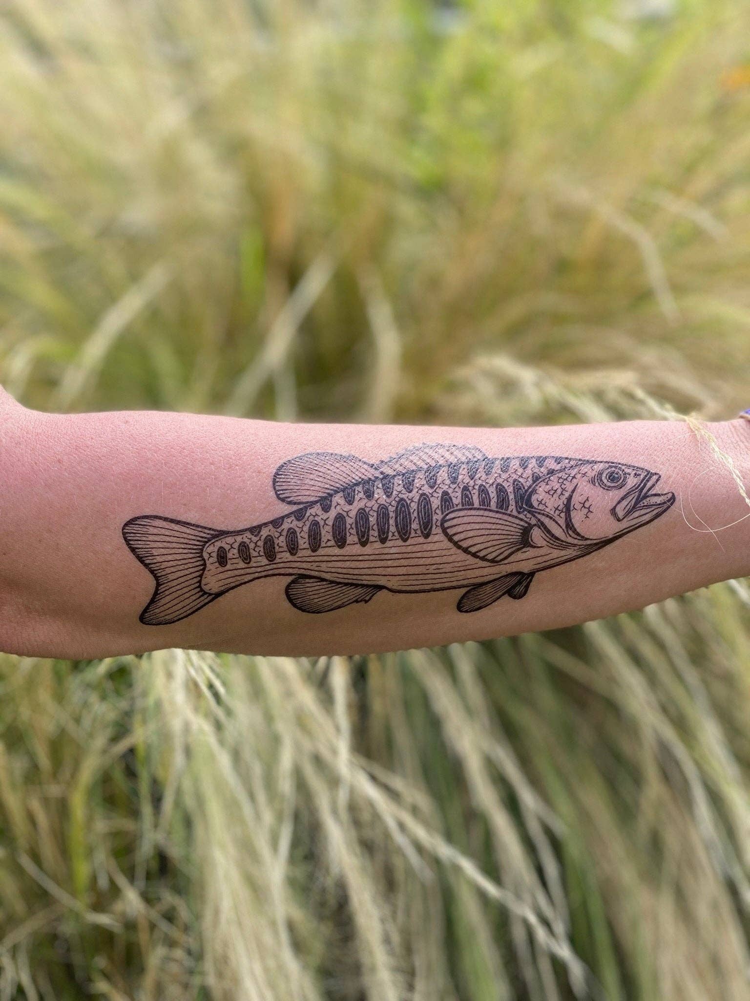 Bass Fish Temporary Tattoo